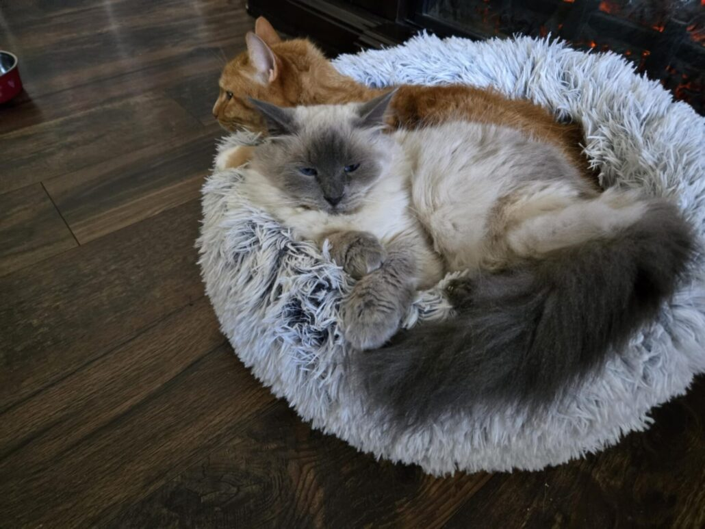 Naptime is serious business around here.