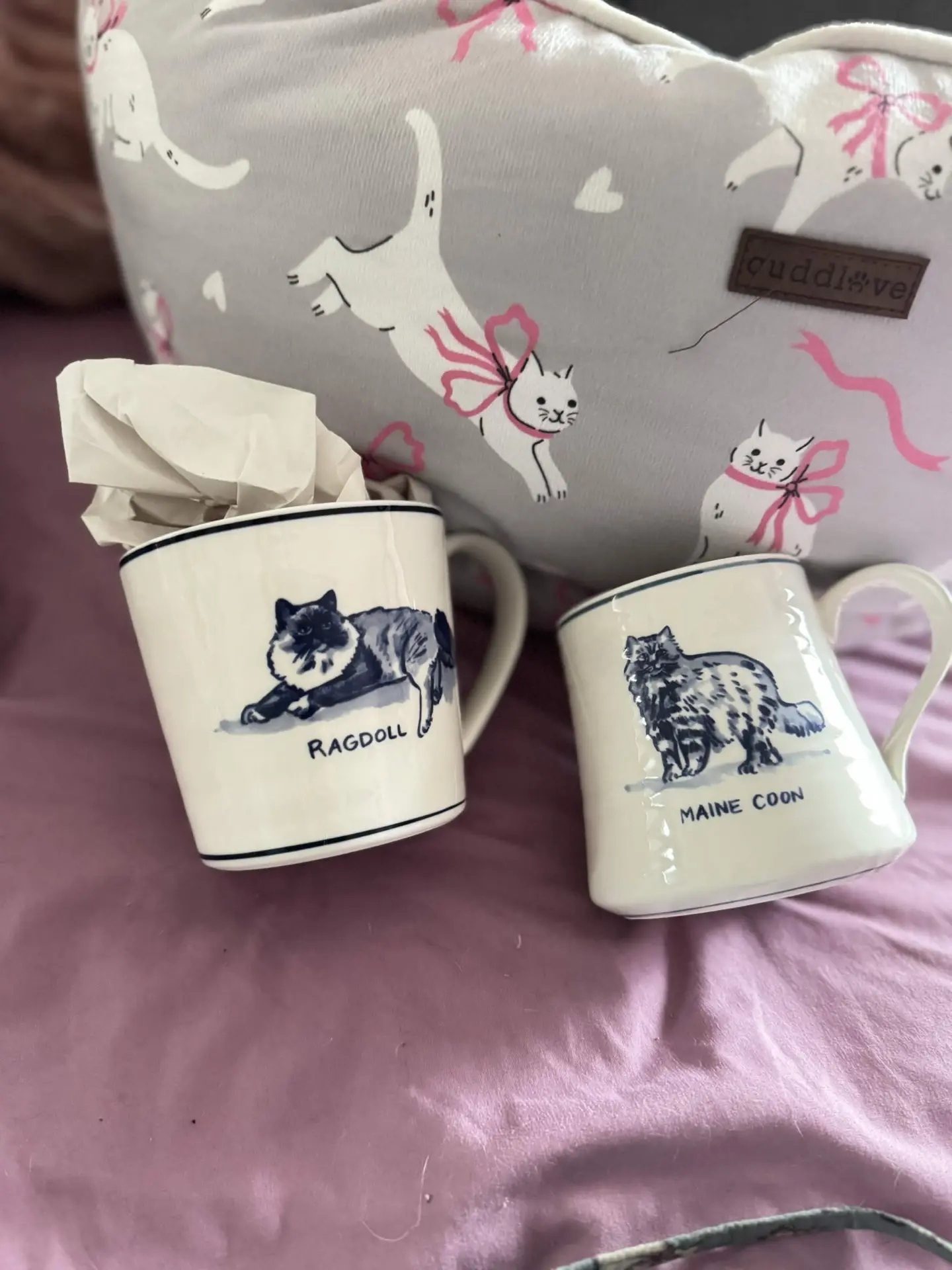 Ragdoll and Maine Coon cat mugs